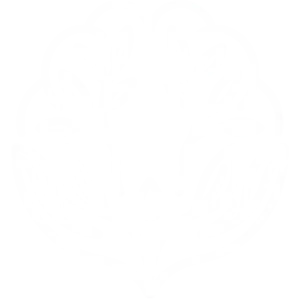 Logotipo AMANAR